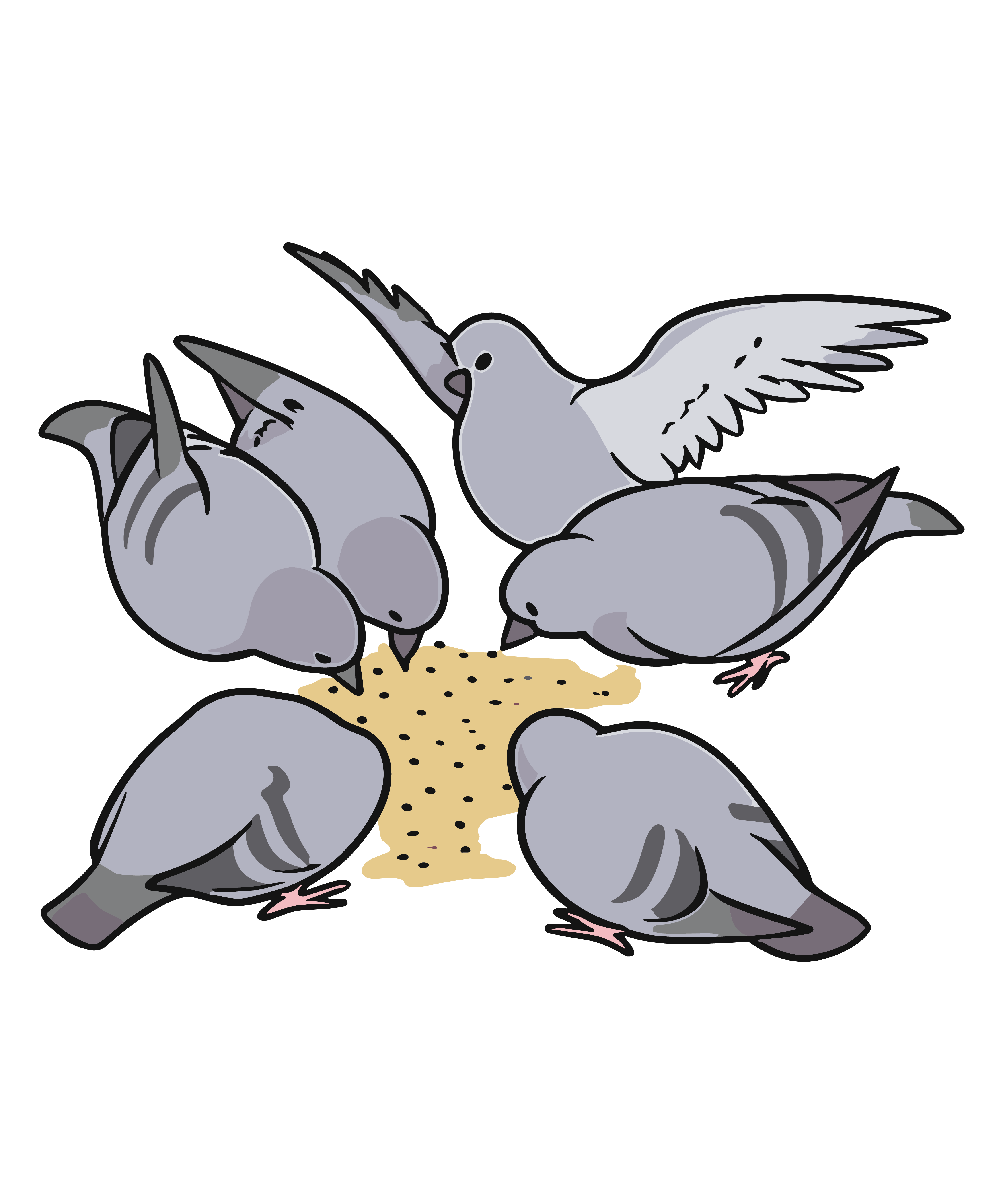 Feeding Frenzy